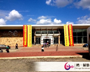 2014年第17届坦桑尼亚（达累斯萨拉姆）国际建材博览会回顾 (16)
