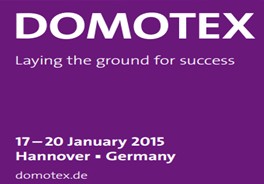 2015德国汉诺威国际地面材料展览会DOMOTEX2015